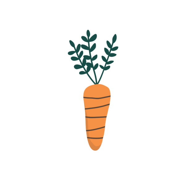 m/s catering services